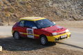 Jänner Rallye 2009 52234726