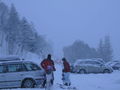 Dorfgastein & Hofgastein 2008 51780017