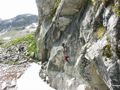 Kristall-Klettersteig 29682407