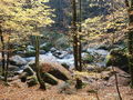 Wandern im Aisttal 48893608