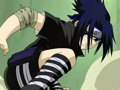 Sasuke 31484015