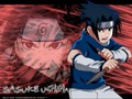 Sasuke 31484139