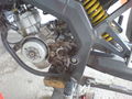 ^^Mopedwerkstatt Walchshof^^ 58106745