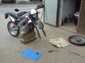 ^^Mopedwerkstatt Walchshof^^ 58648655