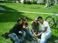 Friends* 29777288