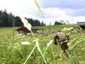 Paintball in CZ 40617520