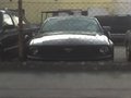 ford mustang 30079771