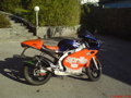 aprilia rs50  32048881