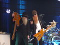 ZZ TOP 68001255