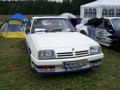 OPEL TREFFEN GEINBERG !! 30120420