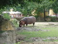 Ausflug Tiergarten Schönbrunn 41986938