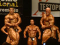 Bodybuilding 33037626