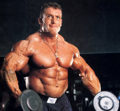 Bodybuilding 33037627