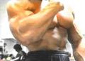 Bodybuilding 33037639