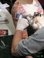 5. Tattoo Convention Vienna 48011745