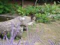 Tiergarten Schönbrunn 45203660