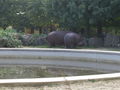 Tiergarten Schönbrunn 45203755