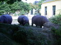 Tiergarten Schönbrunn 45203983