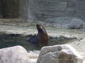 Tiergarten Schönbrunn 45204242