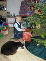 Advent/Weihnachten 2008 50514294