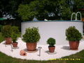 Unser Neuer Garten 38852875