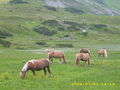 sommerurlaub in obertauern 41753403