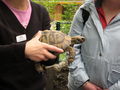 Tiergarten Hellbrunn Salzburg 40665637