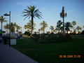 Mallorca 2009 63046922