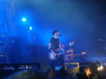 Rise Against Live 09 53718281