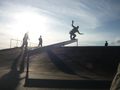 me skate pics 58616225