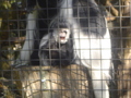 Mit meinen Süßen im Tierpark 32494266