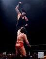 The Undertaker von 1990 bis 97 und Kane 31517864