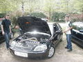 hondatreffen (faak a. see '03) 38428196