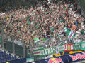 SK Rapid Wien 32110250