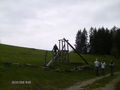 Hirschalm 53545221