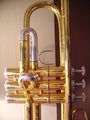 My Trumpet 41225138