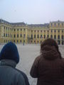 vienna-week...=) 52224765