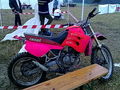 Motocrossrennen 65925385