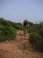 Mountainbiken auf Mallorca 54708504