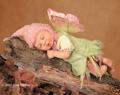 ANNE GEDDES 35833091