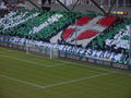 Rapid Wien zum 32. mal Meister! 47737359