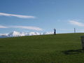 Kaikoura Whale Watching 45867675