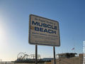 Muscle Beach C.A. 39469006