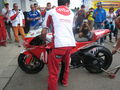 MotoGP Brno 15.08.2008- 17.08.2008 43638875