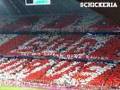 FC Bayern 31202445