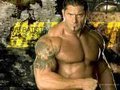 wwe 33935544