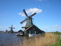 Holland 59028426