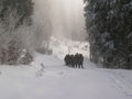 Alpinwoche in Hochfilzen 50013390