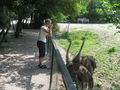 Wieder mal im Tierpark! 42327113