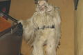 St. Leonharder Krampusse 31071569